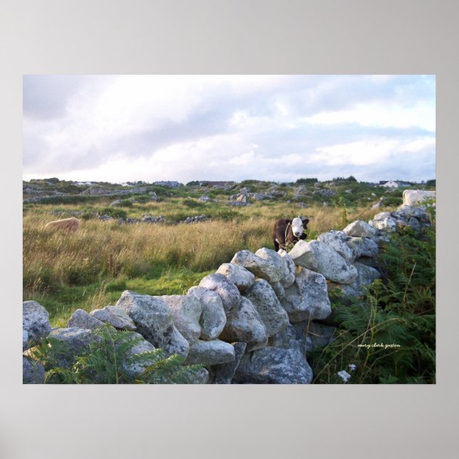 Ländliche Irland Poster (Vorne)