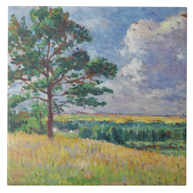 Ländliche Landschaft um Méréville, Frankreich (Art Fliese (Vorderseite)