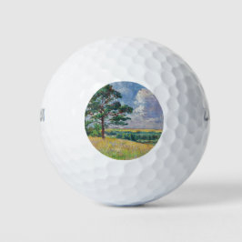 Ländliche Landschaft um Méréville, Frankreich (Art Golfball