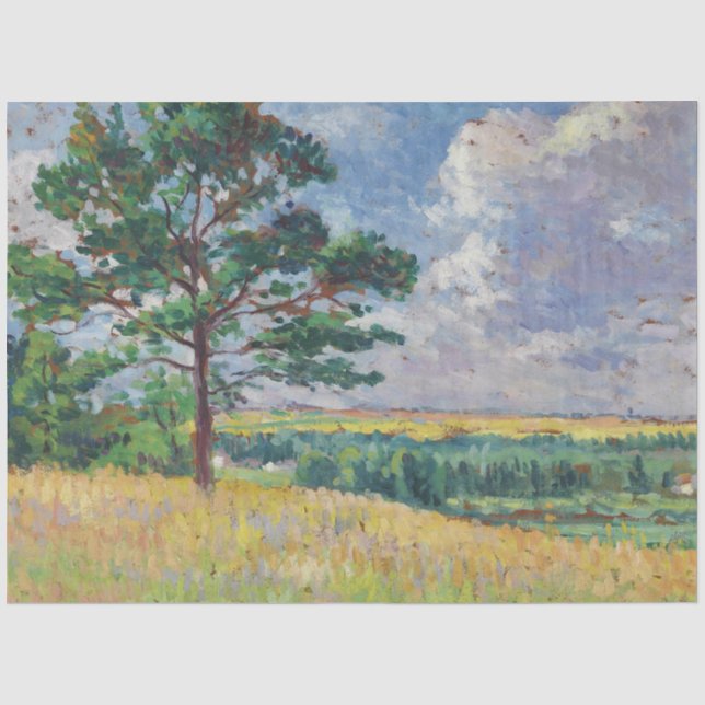 Ländliche Landschaft um Méréville, Frankreich (Art Seidenpapier (Vorderseite)