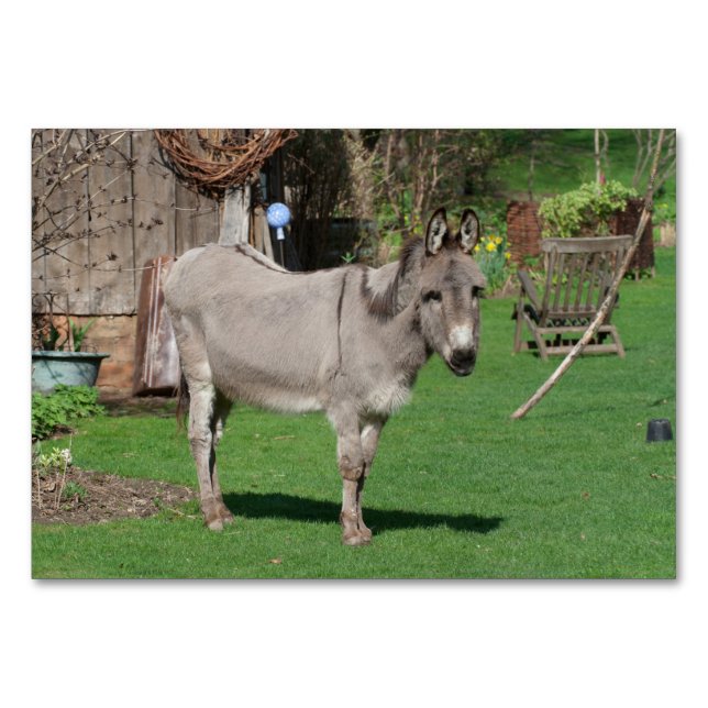 Ländliche Lebensweise mit Esel Tischnummer (Vorderseite)