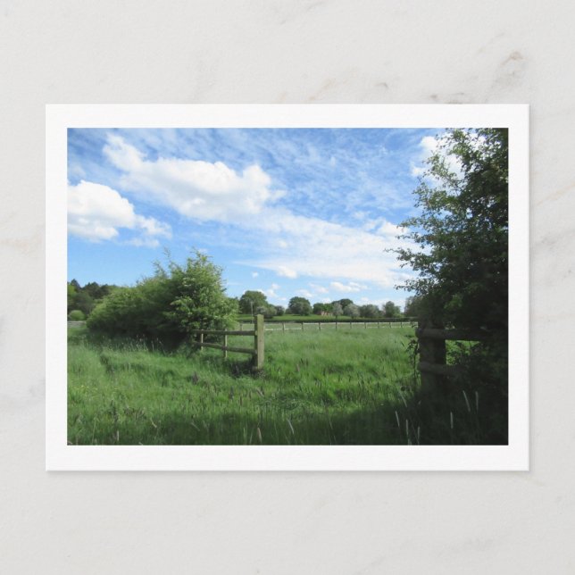 Ländliche Sicht (Mai) Postkarte (Vorderseite)