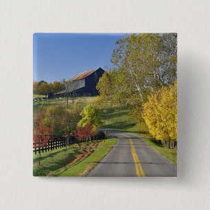 Ländliche Straße durch die Bluegrass-Region von Ke Button