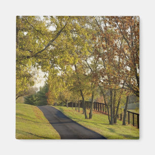Ländliche Straße durch die Bluegrass-Region von Ke Magnet