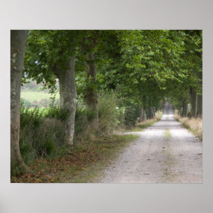 Ländliche unbefestigte Landstraße in der Nähe der Poster