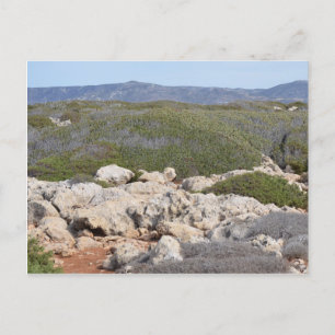 Ländliche Zypern - Naturkarte Postkarte