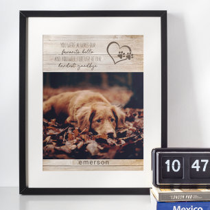 Ländliches Gedenken an Haustierhunde Foto Poster