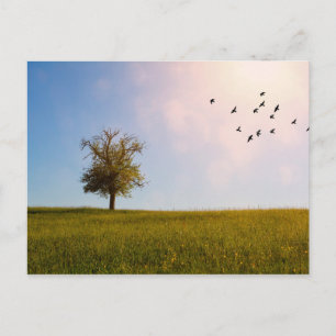 Ländliches Idyll Postkarte