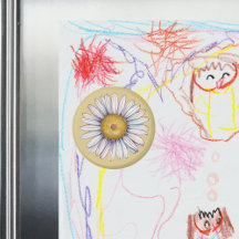 Landmädchen-Gänseblümchen 