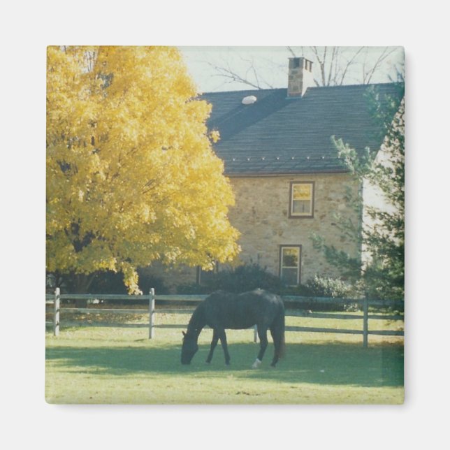 Landpferd - Magnet (Vorne)