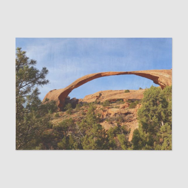 Landscape Arch Ristorante da Valentino Seidenpapier (Vorderseite)