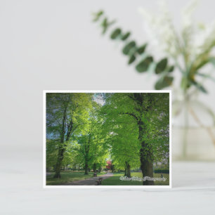 Landschaft 1 Postkarte