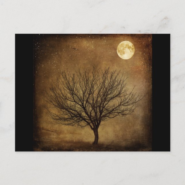 Landschaft-680226 DARK BROWN HINTERGRUND SCHWARZER Postkarte (Vorderseite)