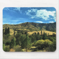 Landschaft am Fluss Snake, Oregon