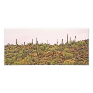 Landschaft Arizona Cactus Fotodruck