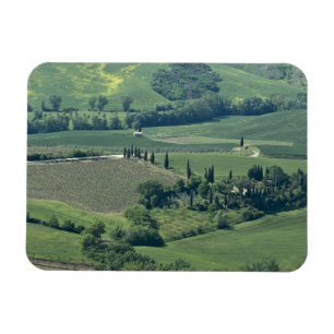 Landschaft bei Montepulciano, Val d'Orcia, Magnet