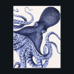 Landschaft Blauer Krake Postkarte<br><div class="desc">Landscape Blue Octopus von Fab Funky. Mit einem nahen Bild eines lila blauen Oktopus.|191000D</div>