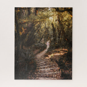Landschaft Brown Green Magic Forest Herbst Herbst