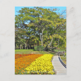 Landschaft Chinaberry und Marigold Blume Bett Postkarte