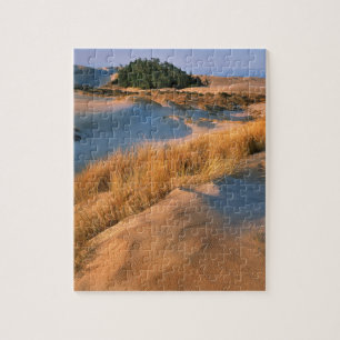 Landschaft der Dünen von Oregon