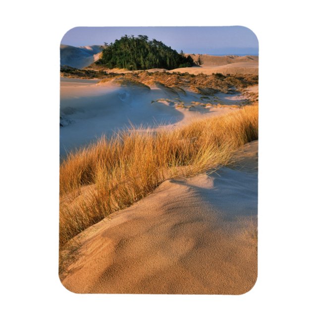 Landschaft der Dünen von Oregon Magnet (Vertikal)