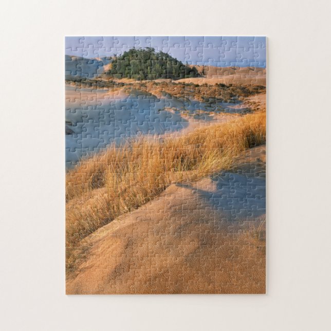 Landschaft der Oregon-Sanddünen (Vertikal)