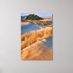 Landschaft der Oregon-Sanddünen Leinwanddruck