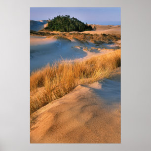 Landschaft der Oregon-Sanddünen Poster