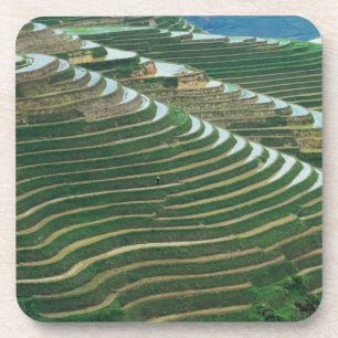 Landschaft der Reisterrassen im Berg, 3 Untersetzer