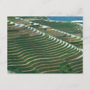 Landschaft der Reisterrassen im Gebirge, 3 Postkarte