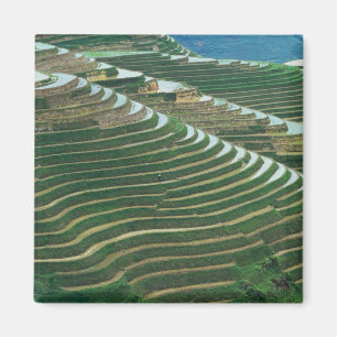 Landschaft der Reisterrassen in den Bergen, 3 Magnet