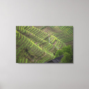 Landschaft der Reisterrassen in den Bergen, Leinwanddruck