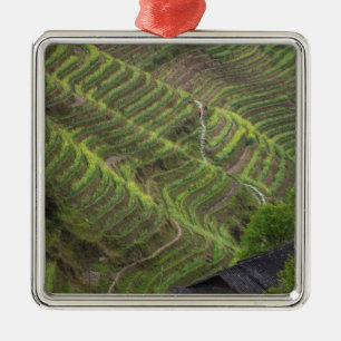 Landschaft der Reisterrassen in den Bergen, Ornament Aus Metall