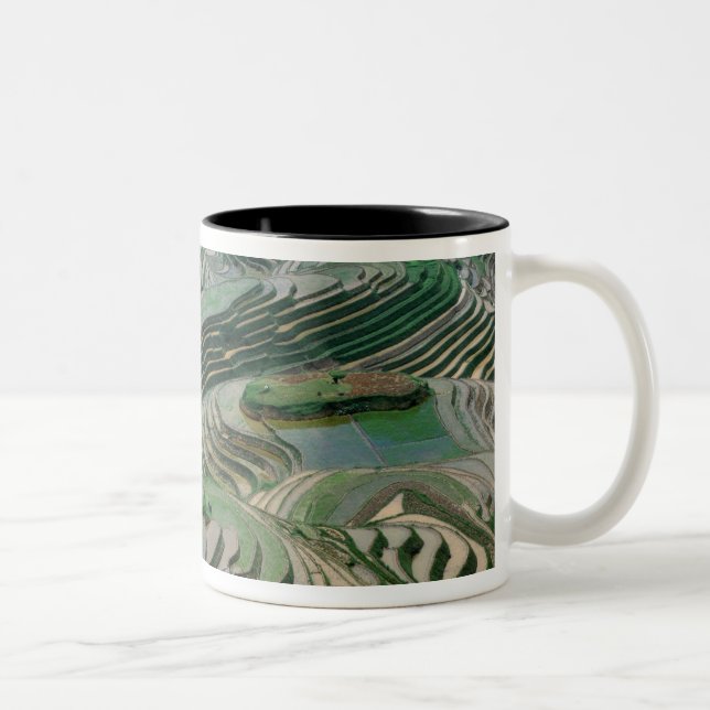 Landschaft der Reisterrassen in den Bergen, Zweifarbige Tasse (Rechts)