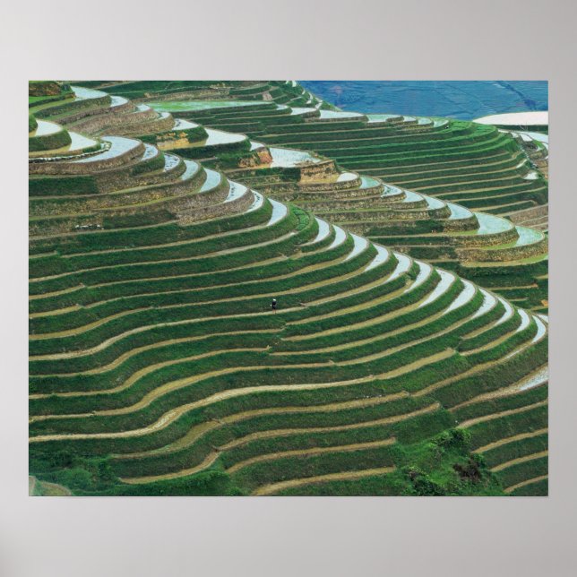 Landschaft der Reiterrassen im Berg, 3 Poster (Vorne)