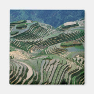 Landschaft der Reiterrassen im Berg, Magnet