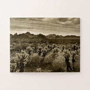 Landschaft des amerikanischen Südwestens
