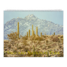 Landschaft des Saguaro-Nationalparks