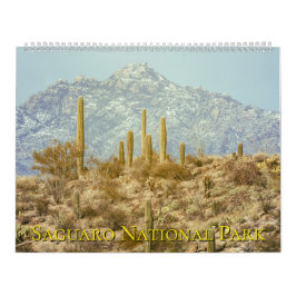 Landschaft des Saguaro-Nationalparks Kalender