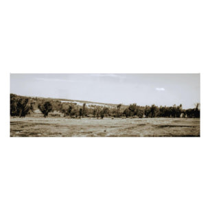 Landschaft Extra groß Fotodruck