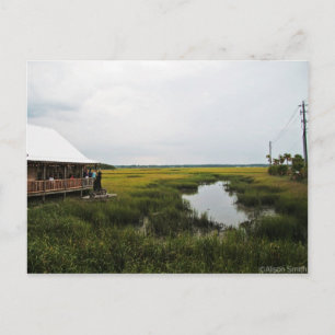 Landschaft Florida Postkarte