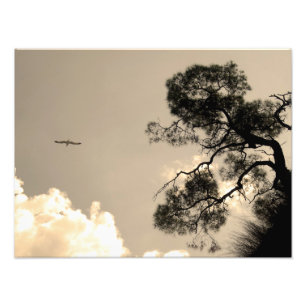 Landschaft Fotodruck