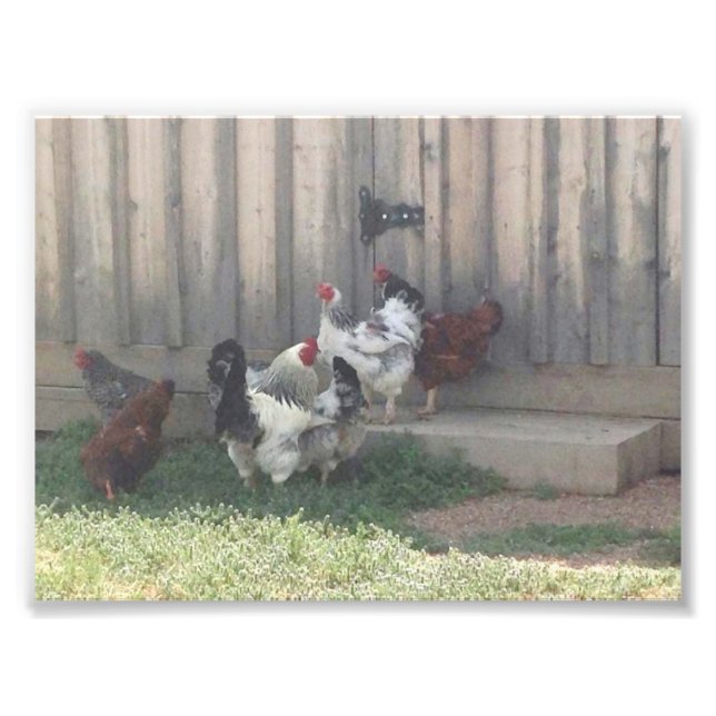 Landschaft Fotodruck (Vorne)