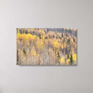 Landschaft Gelb Orange Alaska Herbstsonne Lavas Pr Leinwanddruck