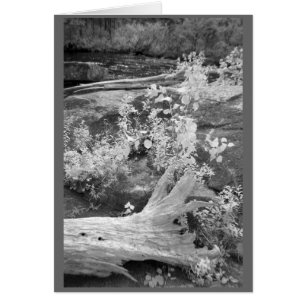Landschaft im ländlichen New Hampshire