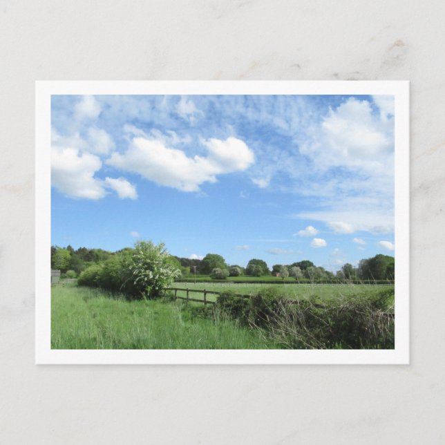 Landschaft im Mai Postkarte (Vorderseite)