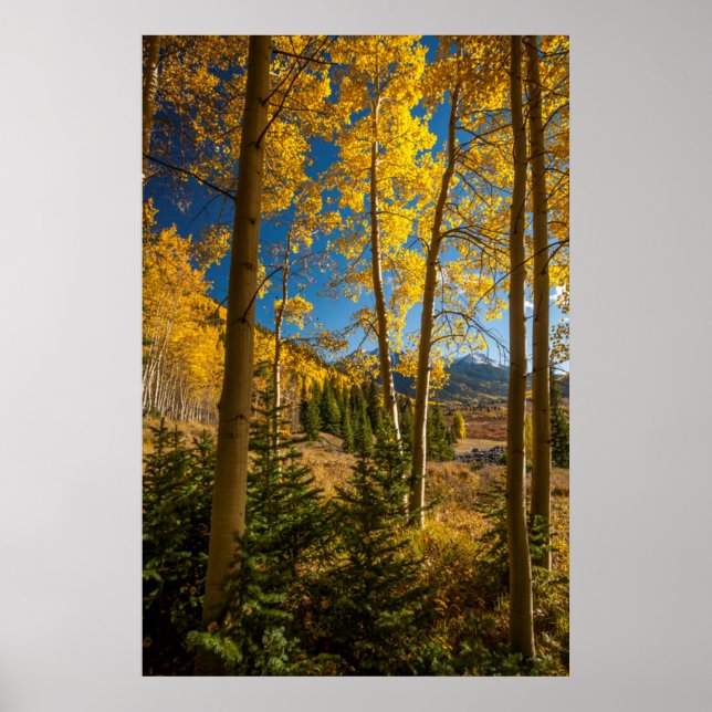 Landschaft im San Juan Gebirge Poster (Vorne)
