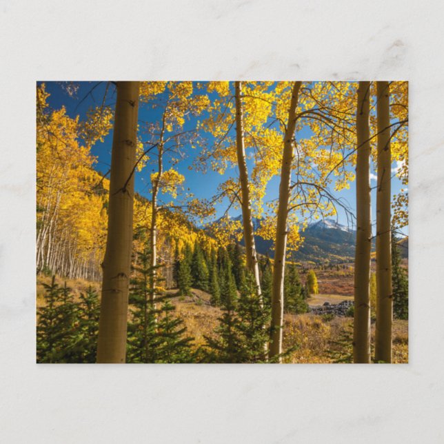 Landschaft im San Juan Gebirge Postkarte (Vorderseite)