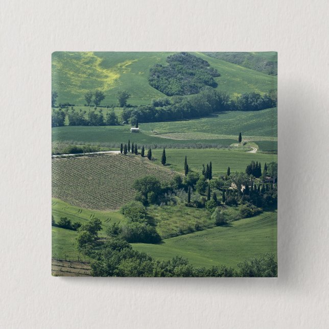 Landschaft in der Nähe von Montepulciano, Val d'Or Button (Vorderseite)