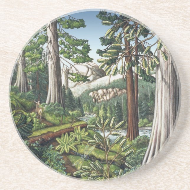 Landschaft Kunst Untersetzer Altes Wachstum Wald U (Vorne)